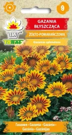 nasiona-kwiaty-gazani-blyszczacej-zolto-pomaranczowa-jednoroczna-toraf-04g