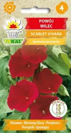 nasiona-kwiaty-powoj-wilec-scarlet-o-hara-czerwone-szkarlatne-toraf-2g