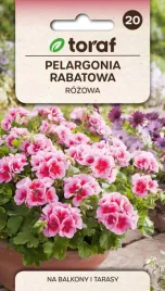 pelargonia-rabatowa-rozowa-nasiona-kwiaty-pelargonii-toraf-005g