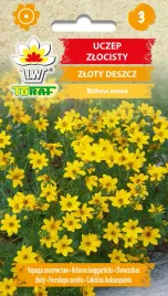 uczep-zlocisty-zloty-deszcz-nasiona-drobne-zolte-kwiatki-toraf-02g
