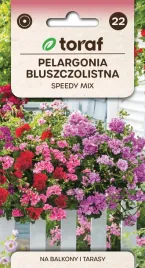 nasiona-pelargonii-zwisajacej-mix-kolorow-szybko-rosnaca-toraf-10szt