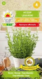 hyzop-lekarski-ziolo-nasiona-hyzopu-toraf