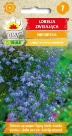 lobelia-zwisajaca-niebieska-nasiona-01g-toraf