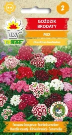 gozdzik-brodaty-mieszanka-mix-kolorow-nasiona-toraf