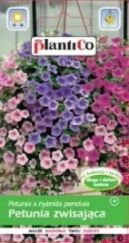 petunia-zwisajaca-ogrodowa-rozne-kolory-kwiaty-nasiona-plantico-0-05g