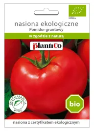 pomidor-gruntowy-nasiona-ekologiczne-plantico-bio