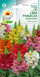 lwia-paszcza-karlowa-mieszanka-mix-kolorow-nasiona-05g-toraf