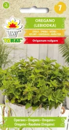 oregano-lebiodka-ziolo-przyprawa-nasiona-toraf