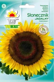 slonecznik-jadalny-paskowany-nasiona-siewu-toraf