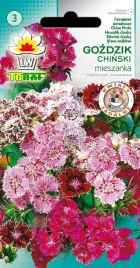 gozdzik-chinski-mieszanka-mix-kolorow-nasiona-toraf