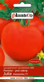 pomidor-julia-f1-szklarniowy-nasiona-plantico