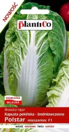 kapusta-pekinska-polstar-nasiona-plantico-05g