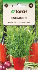 estragon-ziele-nasiona-ziolo-wieloletnie-toraf