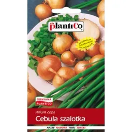 cebula-szalotka-toto-nasiona-cebuli-plantico