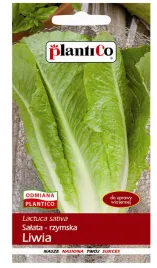 salata-rzymska-liwia-nasiona-salaty-plantico-1g