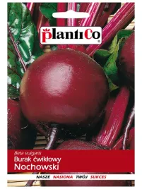burak-cwiklowy-nochowski-nasiona-buraka-plantico