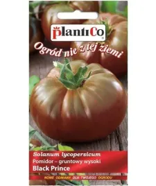 pomidor-black-prince-czarny-gruntowy-plantico