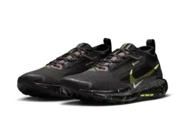 buty-sportowe-nike-pegasus-trail-5-gtx-fq0908-014-r-44