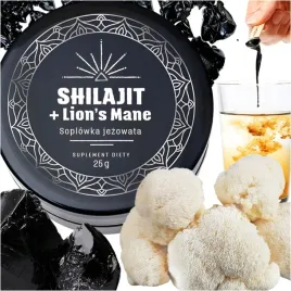 shilajit-mumio-altajskie-z-lions-mane-naturalne-oryginalne-czyste-pasta