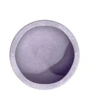 stapelstein-original-light-violet-kod-taryfy-celnej-95030070