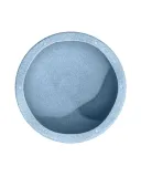 stapelstein-original-light-blue-kod-producenta-101435