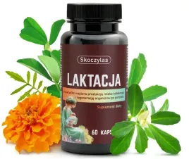 laktacja-dla-kobiet-karmiacych-skoczylas-cholina-kwas-dha-kozieradka