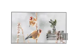 lg-55-transpared-oled-55ew5p-with-one-quick-dongle-included
