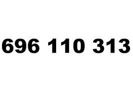 zloty-numer-696-110-313-t-mobile-starter-latwy-prosty-biznesowy-infolinia