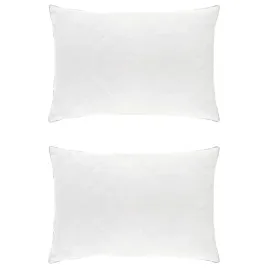 poduszka-fulda-2-szt-60-x-70-cm-100percent-puch-i-pierze-gesie-bialy
