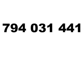 zloty-numer-794-031-441-play-starter-vip-latwy-prosty-biznesowy-infolinia