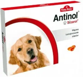 biovico-antinol-sizarol-120-kapsulek-4x30-duze-opakowanie-zbiorcze