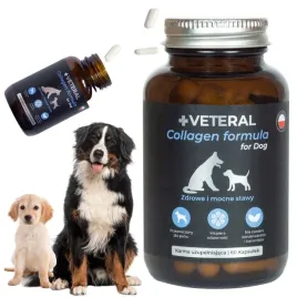veteral-kolagen-dla-psa-tabletki-collagen-formula-dysplazja-zdrowe-stawy