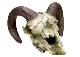 ozdoba-akwariowa-dekoracja-czaszka-z-rogami-ram-skull-175x16x95-cm-nobby