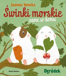 swinki-morskie-same-w-domu-ogrodek-joanna-kencka