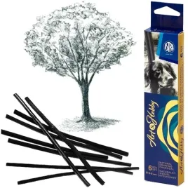 wegiel-naturalny-rysunkowy-astra-artea-6-8mm-6-sztuk-wierzbowy