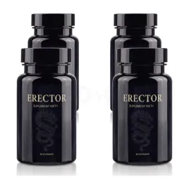4x-erector-4x60-szt