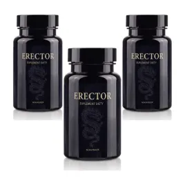 3x-erector-3x60-szt
