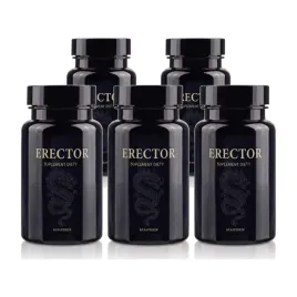 5x-erector-5x60-szt