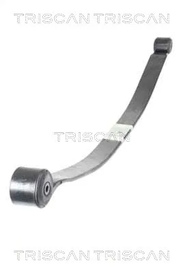 resor-lesjofors-ls5827543-producent-czesci-triscan