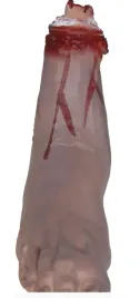stopa-lateksowa-zakrwawiona-31cm