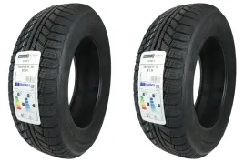 2-x-195-65r15-91h-winter-s-point-s-tyres-zima
