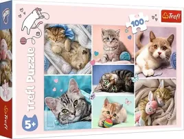 puzzle-100-elementow-w-kocim-swiecie-koty-kotki-trefl-16420