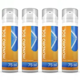 4x-hondro-sol-4x75-ml