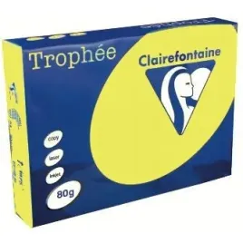 papier-trophee-a4-80g-sloneczny-500