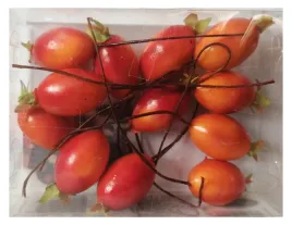 ozdoby-jesienne-dekoracje-owoce-piankowe-roza