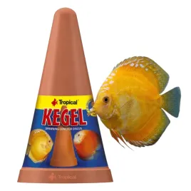 stozek-tarliskowy-dyskowce-paletki-chropowaty-lepsza-przyczepnosc-ikry