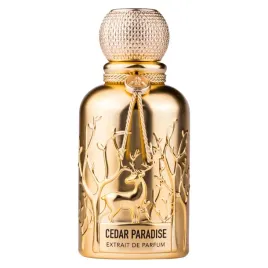 auraa-desire-cedar-paradise-ekstrakt-perfum-spray-100ml