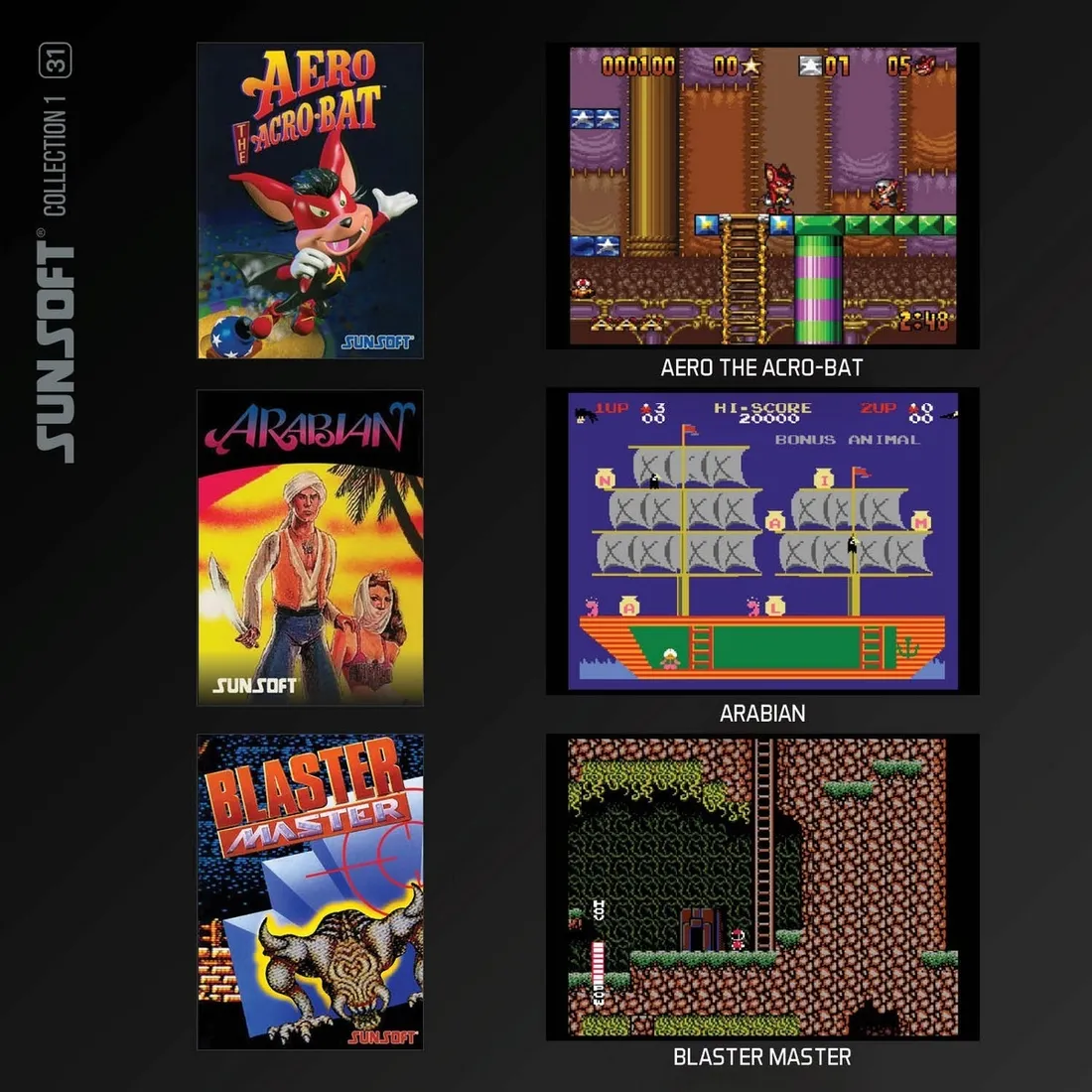 sunsoft-kolekcja-1-gra-evercade