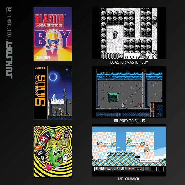 sunsoft-kolekcja-1-gra-evercade-rodzaj-wydania-podstawa