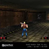 duke-nukem-kolekcja-2-gra-evercade-rodzaj-wydania-podstawa
